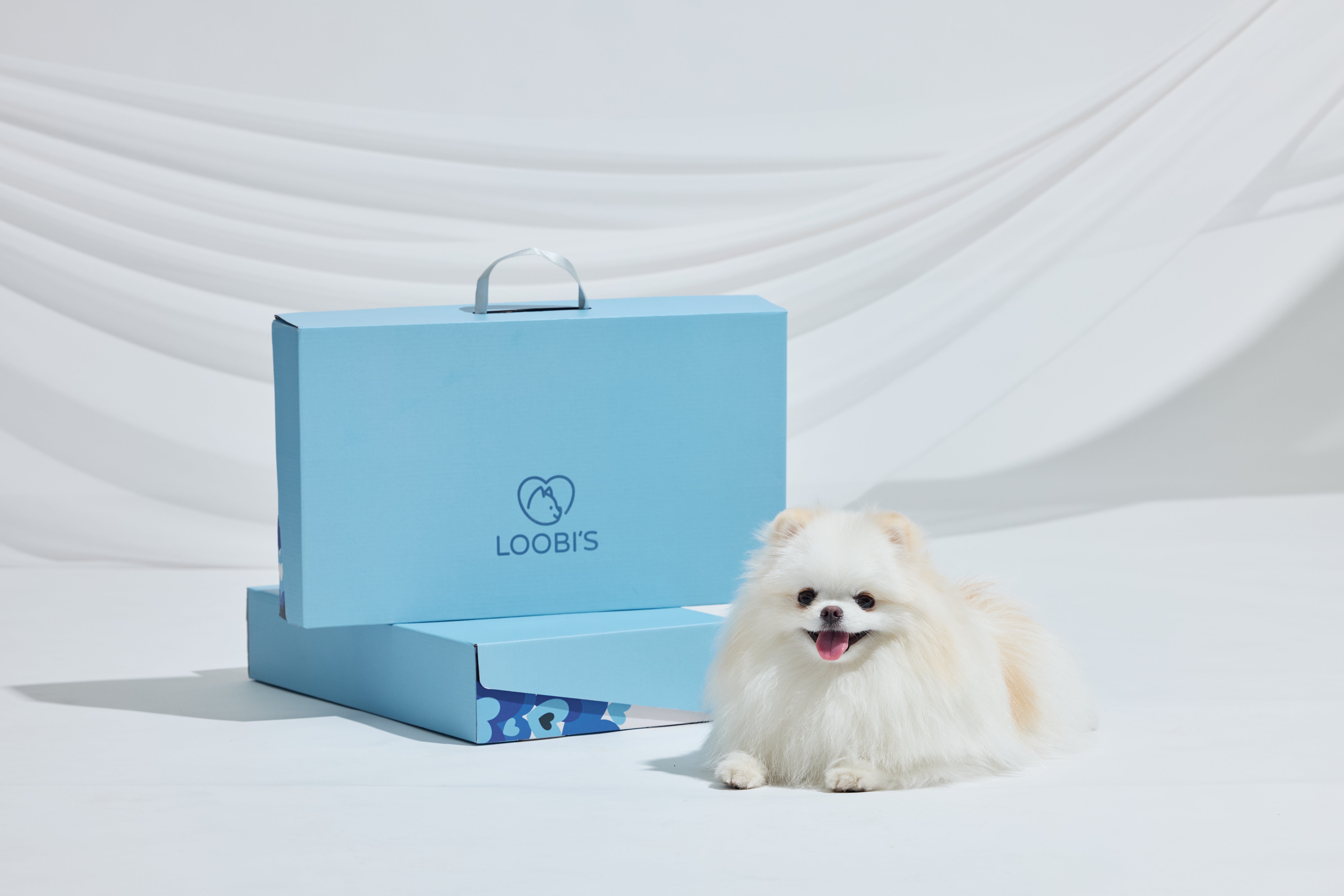 ペットカート用ファン　LOOBIS Air Breeze 2 ペット用循環ファンマット + 保冷剤セット – Loobi's JP