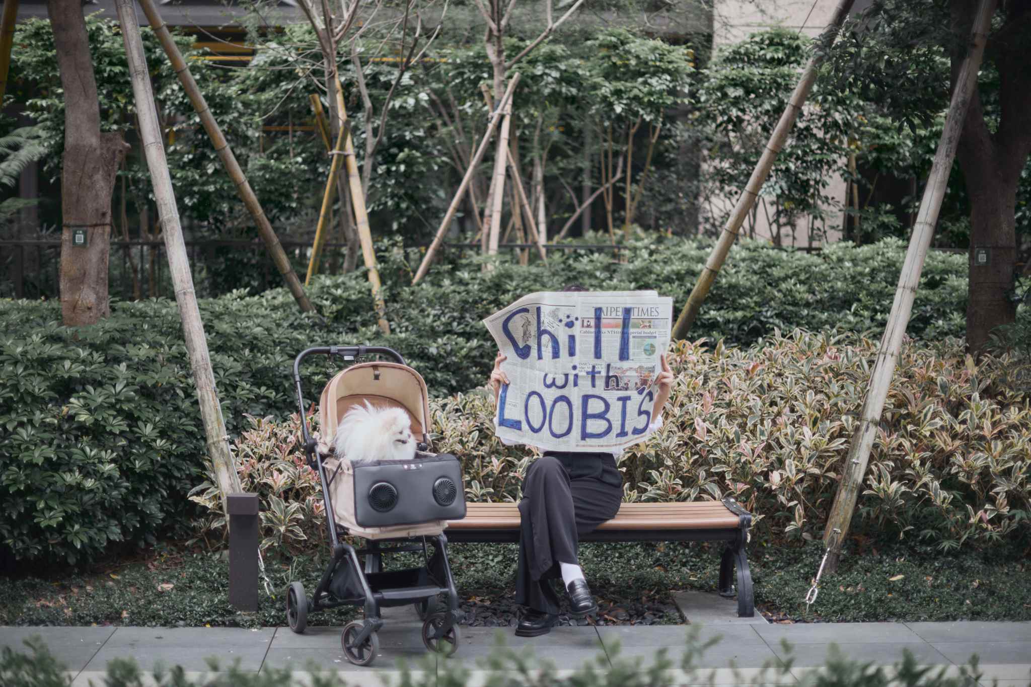 Loobi's JP – Loobi's JP