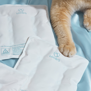 AIR FREEZE 冷凍ジェルパック (3枚入り)